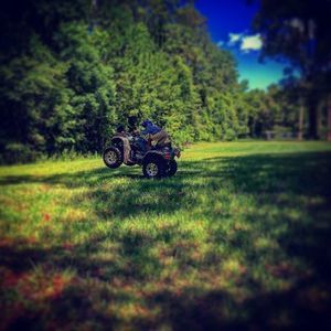 Meet your Posher, Landen